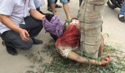 Cố lao đầu vào ô tô tự tử nhiều lần, nam thanh niên bị dân trói vào gốc cây