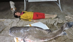 Cần thủ Đắk Lắk câu được cá Lăng đuôi đỏ siêu 'khủng' nặng gần 1 tạ