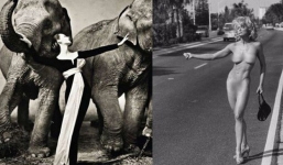 Những bức ảnh thời trang kinh điển và đắt giá của thế kỷ 20, có bức được định giá tới 6,8 tỷ đồng