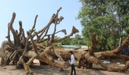 Tin tức thời sự 24h mới nhất ngày 2/4/2018