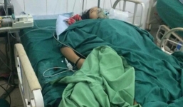 Nghi ăn nhầm nấm độc 4 người thương vong ở Hà Giang