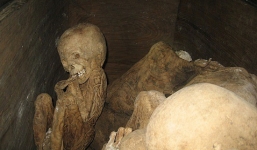 Bí ẩn những trường hợp phụ nữ vẫn có thể sinh con sau khi chết vài ngày