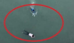 Sẽ tặng bằng khen cho nam thanh niên cứu cô gái 9X nhảy cầu tự tử