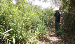 Tá hỏa phát hiện nữ kế toán chết bất thường sau nhà