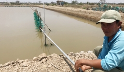 Lộ diện chủ DN thủy sản chủ mưu đầu độc 2 ao tôm của dân