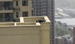 Nam thanh niên say xỉn leo lên tầng 29, chưa kịp tự tử đã lăn ra ngủ 