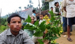 Đang 'tâm sự'với tình cũ bị phát hiện, đôi tình nhân ăn lá ngón tự tử