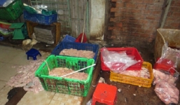 Phát hiện hơn 2 tấn lòng heo được tẩy trắng bằng nước oxy già giữa nền nhà dơ bẩn