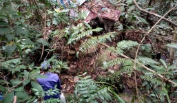 Tá hỏa phát hiện thi thể đang phân hủy giữa rừng