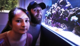 Cả gia đình suýt mất mạng vì rửa bể cá