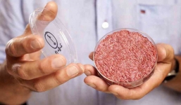 Ít ai ngờ, 9 phát minh và sự kiện của thế giới này lại được tiên đoán từ trước cả thế kỷ bởi những tiểu thuyết viễn tưởng