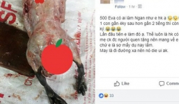 Nàng dâu làm thịt con ngan nặng từ 4kg xuống còn 2kg, không những sạch lông mà da cũng chẳng còn khiến hội chị em xôn xao