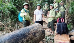 Phó chủ tịch tỉnh nhận hàng chục thư tố cáo phá rừng sau khi công bố Email