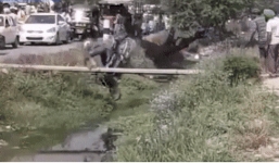 Trổ tài lái xe máy qua cầu hẹp, người đàn ông nhận kết đắng