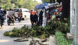 Đứng bên đường, cô gái trẻ đen đủi bị cành cây rơi trúng đầu phải nhập viện
