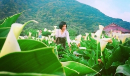 Cô gái đi xin việc 60 lần bị từ chối vì kém xinh, mải làm đến mức bị sỏi thận nay đã thành cô chủ nhỏ kiếm về 50 triệu/tháng