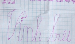 Vụ nam sinh tự tử vì áp lực học hành: 'Con cần sống, hơn là cần điềm 10'