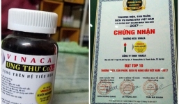 DN sản xuất thuốc trị ung thư từ than tre từng lọt Top 10 thương hiệu hàng đầu Việt Nam