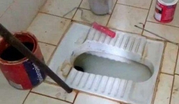 Phát hiện kinh hoàng trong bồn cầu nhà vệ sinh ở Ấn Độ