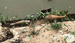 Người dân toán loạn bỏ chạy khi phát hiện 2 quả đạn cối còn nguyên kíp nổ ven sông Sài Gòn