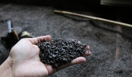 Tổng Thư ký Hiệp hội Cà phê – Ca cao Việt Nam: Chưa có quy chuẩn về cà phê rang xay nên không biết cà phê bẩn là như thế nào!