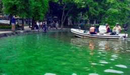 Hồ Gươm xuất hiện váng nước lạ, nghi bị tảo độc 'xâm chiếm'