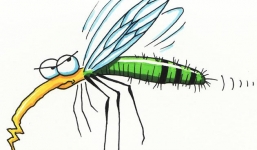 'Thanh niên đa cảm và con muỗi tên Tiểu Minh' là câu chuyện buồn được share rầm rộ nhất trên MXH hôm nay