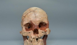 Phát hiện hộp sọ người hoàn chỉnh 16.000 năm tuổi, nhiều bí mật được tiết lộ