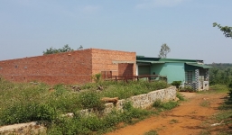 Lộ nơi tiêu thụ hơn 3 tấn cafe nhuộm bằng pin 