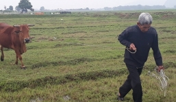 Cựu ĐBQH tỉnh Thanh Hóa: 'Chăn trâu bò phải đóng phí cỏ' là do lợi ích nhóm