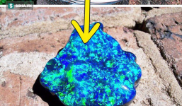 Những kho báu 'từ trên trời rơi xuống' nhưng có giá lên đến cả triệu đô