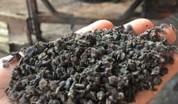 Nhiều quán cafe ở Sài Gòn lao đao vì lượng khách giảm sau vụ cà phê trộn pin bị phanh phui