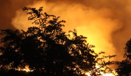 Đang cháy lớn tại rừng tràm ở huyện Bình Chánh, TP. HCM