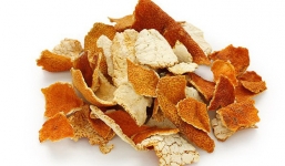 Điều kỳ diệu từ cái vỏ vứt đi hằng ngày