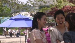 Dàn mỹ nhân từng đọ sắc với nhau trong cùng 1 khung hình ngày xưa, ai lên hương – xuống sắc qua năm tháng?