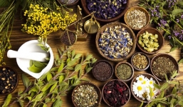 Sự thật về bài thuốc chữa khỏi viêm họng, viêm amidan của lương y Bảo Hoa