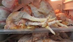 Lỡ khoe với bố vợ có thể thịt 1 con gà trong 'phút mốt', chàng rể xắn tay thể hiện làm 1 lúc 10 con và thành quả khiến vợ muốn giấu nhẹm