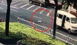 Bé 10 tháng tuổi rơi khỏi xe ô tô, cha mẹ không hề hay biết