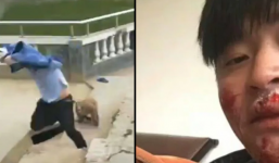 Du khách Trung Quốc cố ý đẩy con khỉ xuống ao để chọc cười và nhận lại cái kết đầy cay đắng