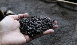 Thông tin bất ngờ vụ trộn tạp chất cà phê nhuộm pin vào hồ tiêu