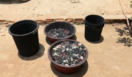 Vụ cà phê nhuộm pin: Mức phạt cao nhất lên đến 20 năm tù