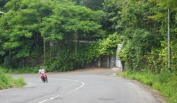 Cử tri Đà Nẵng: Vụ Vũ 'nhôm' phải bắt hết cả ngọn