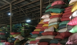 Kiểm tra hàng loạt cơ sở cà phê, tiêu sau vụ trộn phế phẩm cà phê, than pin vào tiêu