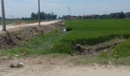 Con dâu tá hỏa phát hiện bố chồng tử vong bất thường dưới ruộng