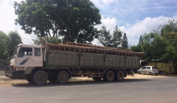 Hàng trăm công an đột kích hang ổ lâm tặc cực lớn tại Vườn quốc gia Yok Đôn