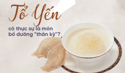 Dân gian truyền miệng câu nói '1g yến sào bằng 40 quả trứng gà': Sự thật ra sao?