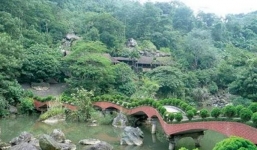 Huyện Ba Vì xin TP chỉ đạo, làm rõ tin 1 thứ trưởng 'gom' đất lâm trường