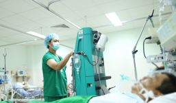 Hậu Giang: Người đàn ông nguy kịch sau khi bị bầy ong mật đuổi theo đến tận nhà, đốt 250 mũi