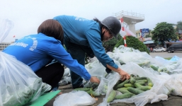 Hàng trăm kg dưa chuột 'đổ mồ hôi' trong nắng nóng Hà Nội chờ được giải cứu