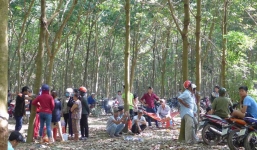 Bắt thêm 3 đối tượng chích điện, cắt tai cô gái